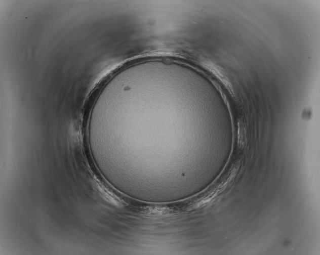 X0000098181452200805151129