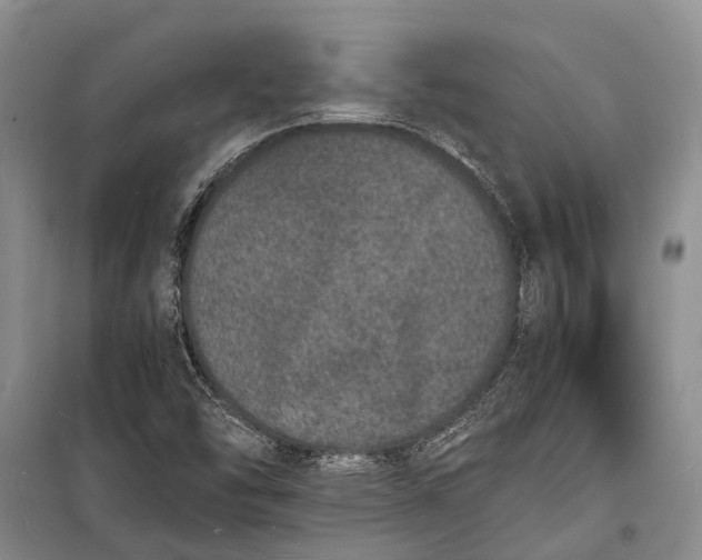 X0000098181454200805151129