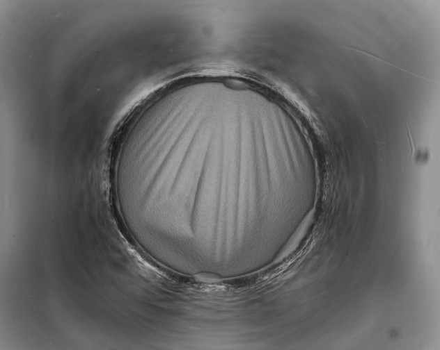 X0000098181456200805151129