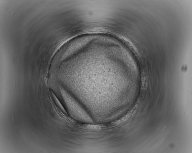 X0000098181457200805151129