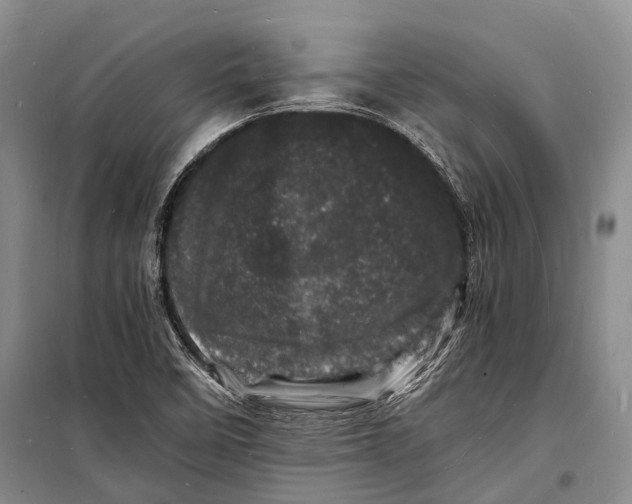 X0000098181458200805151129