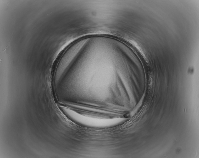 X0000098181460200805151129