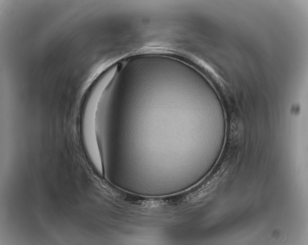 X0000098181461200805151129