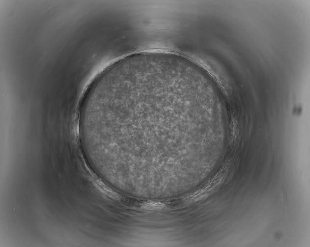 X0000098181462200805151129