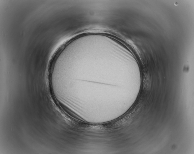 X0000098181464200805151129