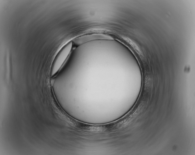 X0000098181465200805151129