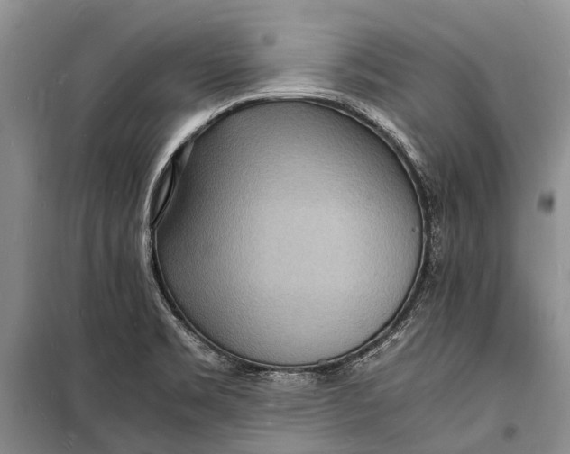 X0000098181469200805151129