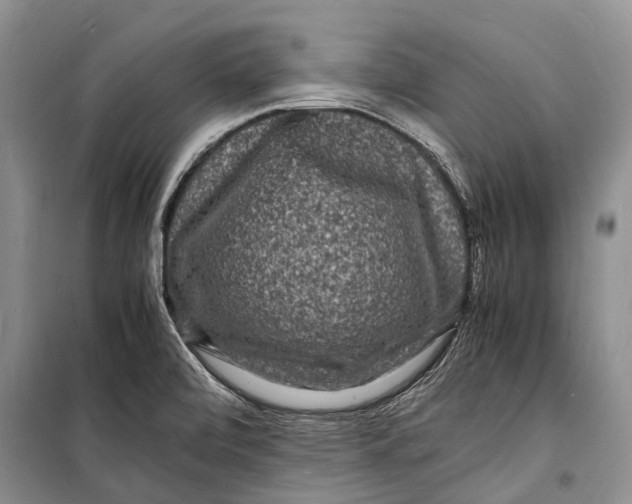 X0000098181472200805151129