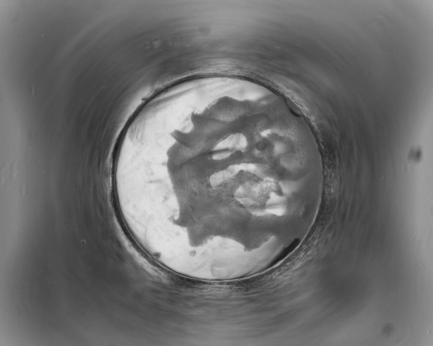 X0000098181479200805151129