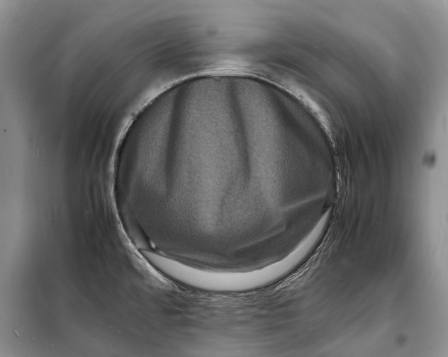 X0000098181480200805151129