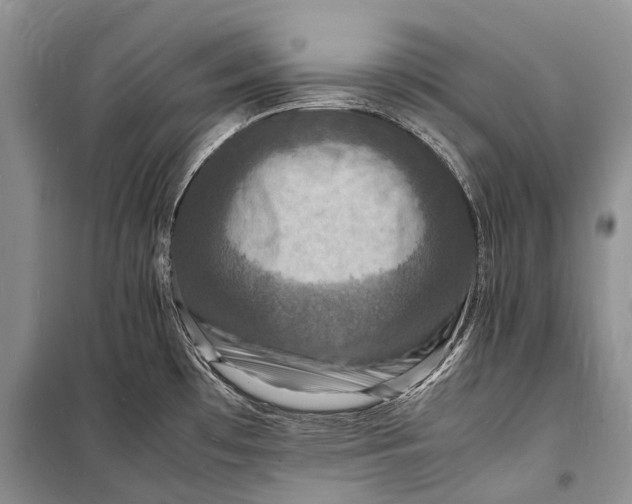 X0000098181481200805151128