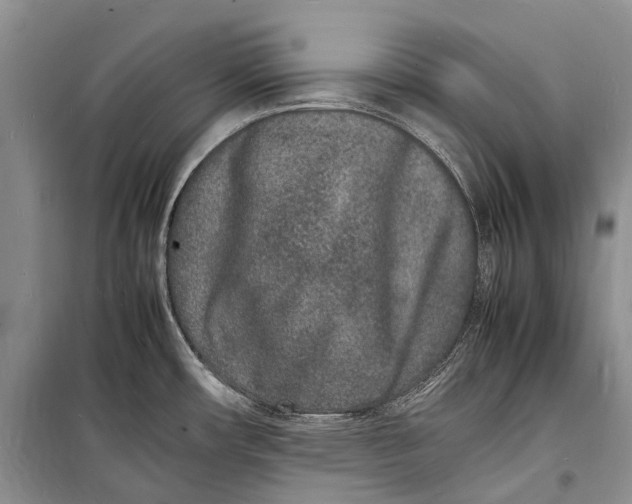 X0000098181482200805151128