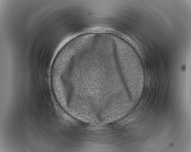 X0000098181486200805151128