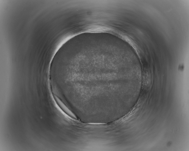 X0000098181487200805151128