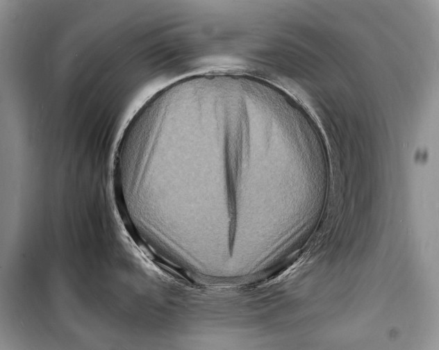 X0000098181488200805151128