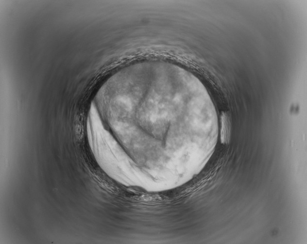 X0000098181491200805151128