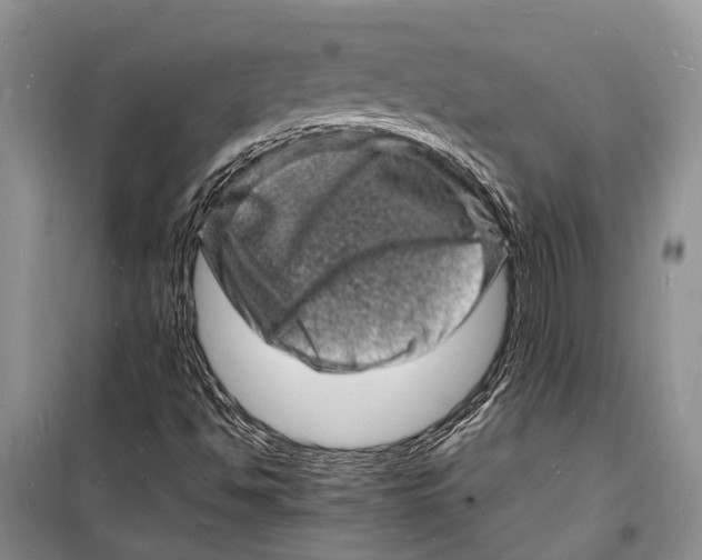 X0000098181494200805151128