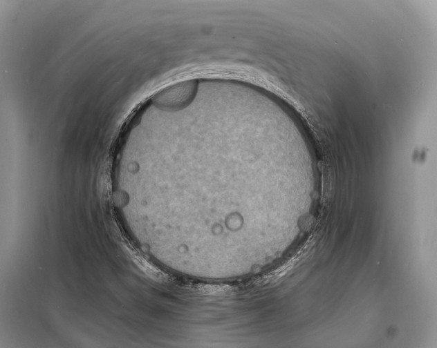 X0000098181498200805151128