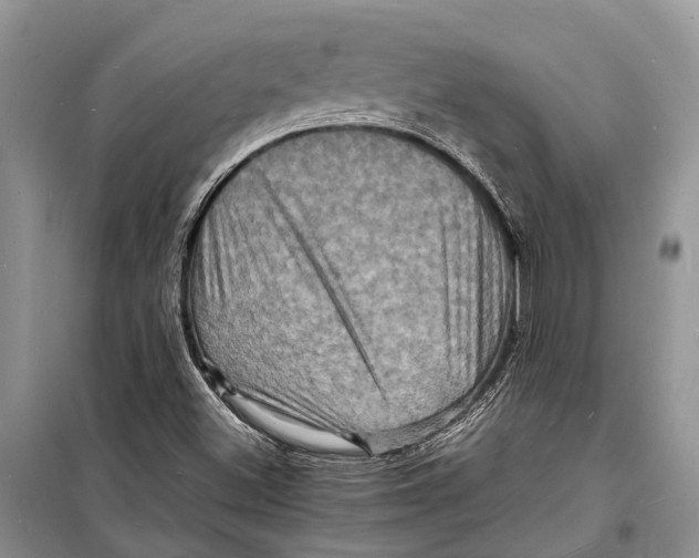 X0000098181500200805151128