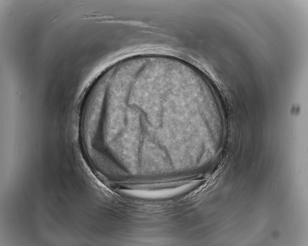 X0000098181504200805151128