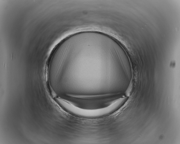 X0000098181510200805151128