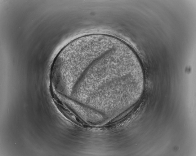 X0000098181512200805151128