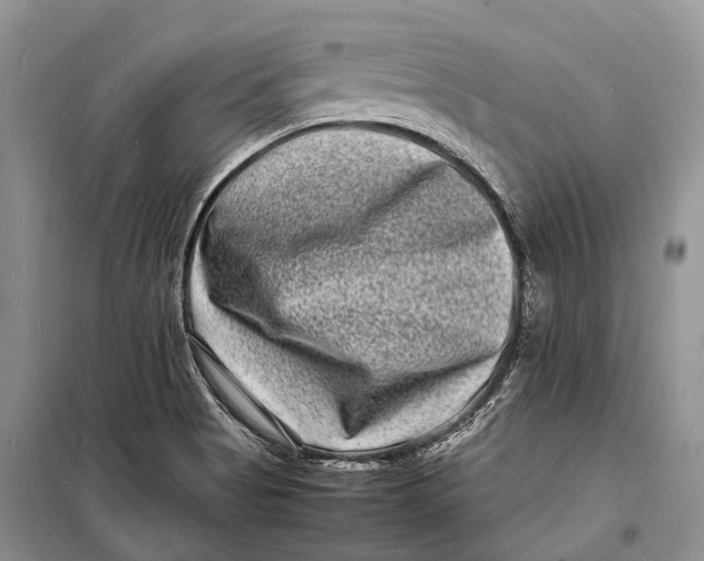 X0000098181513200805151128