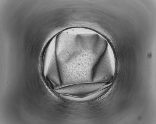 X0000098181517200805151128