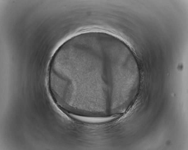 X0000098181518200805151128