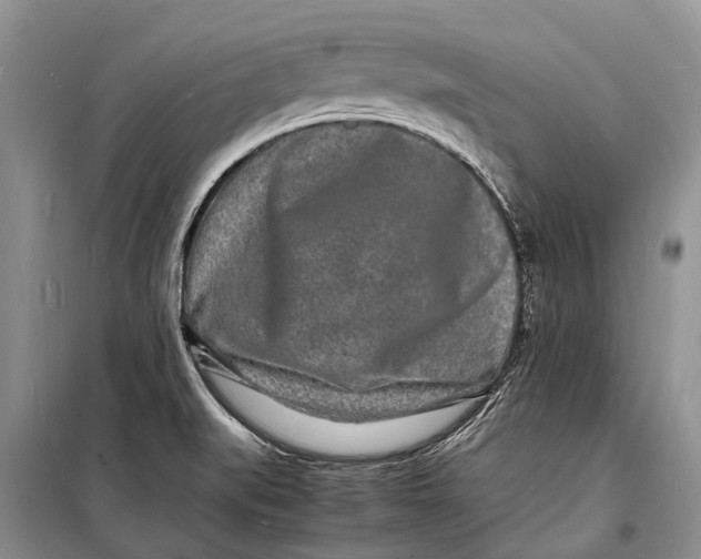 X0000098181519200805151128