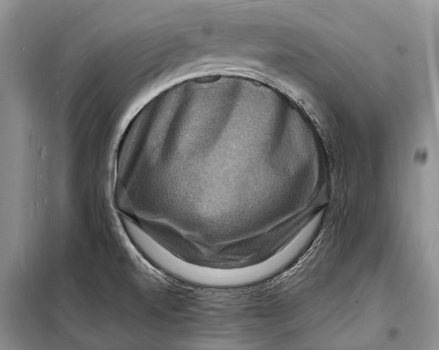 X0000098181520200805151128