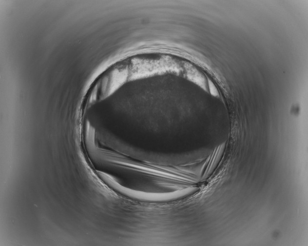 X0000098181522200805151128