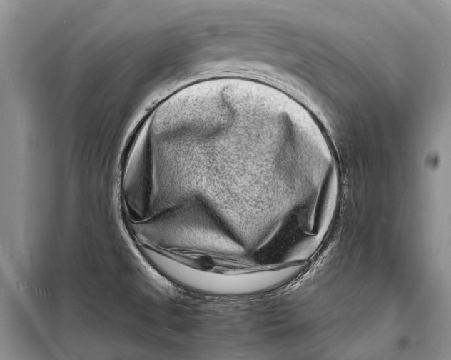 X0000098181525200805151128