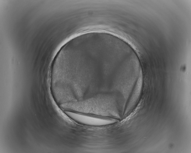 X0000098181526200805151128