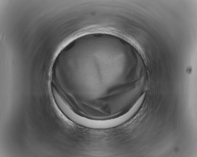 X0000098181528200805151128