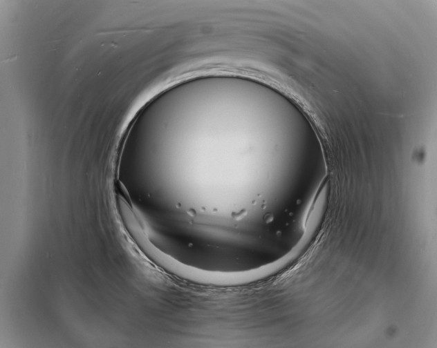 X0000098181530200805151128