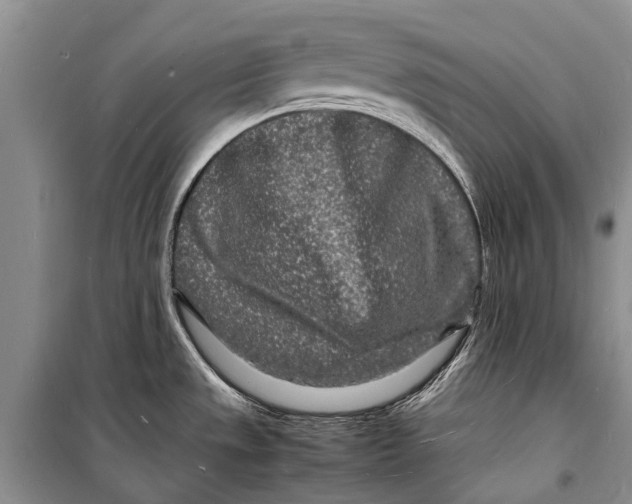 X0000098181533200805151128