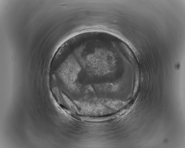 X0000098181534200805151128