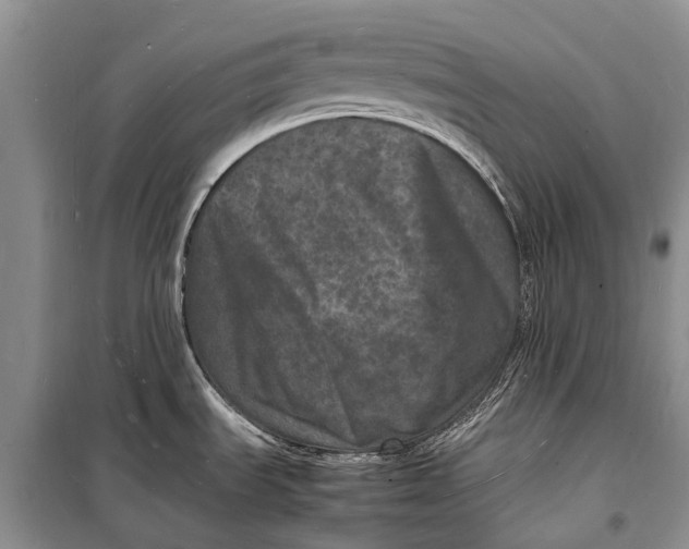 X0000098181535200805151128