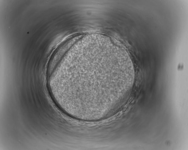 X0000098180002200805221548