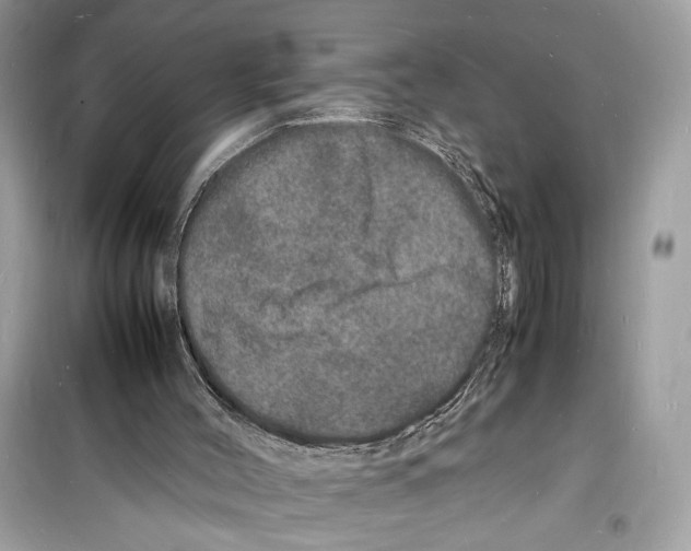 X0000098180004200805221548