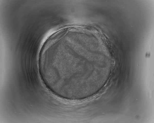 X0000098180006200805221548