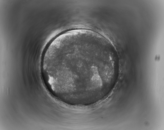 X0000098180008200805221548