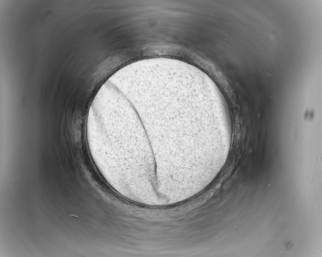 X0000098180010200805221548