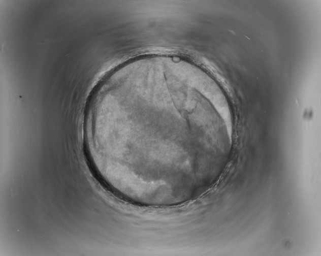 X0000098180011200805221548