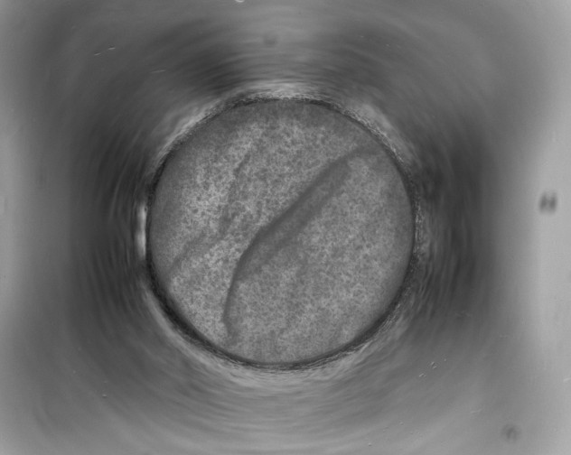 X0000098180014200805221548