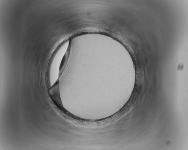 X0000098180015200805221548