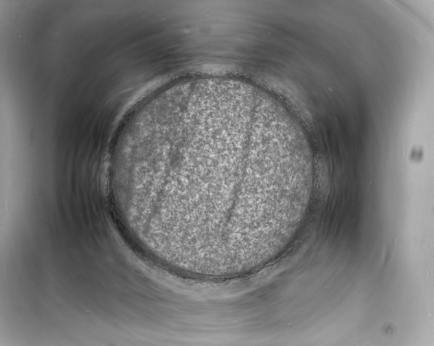 X0000098180016200805221548