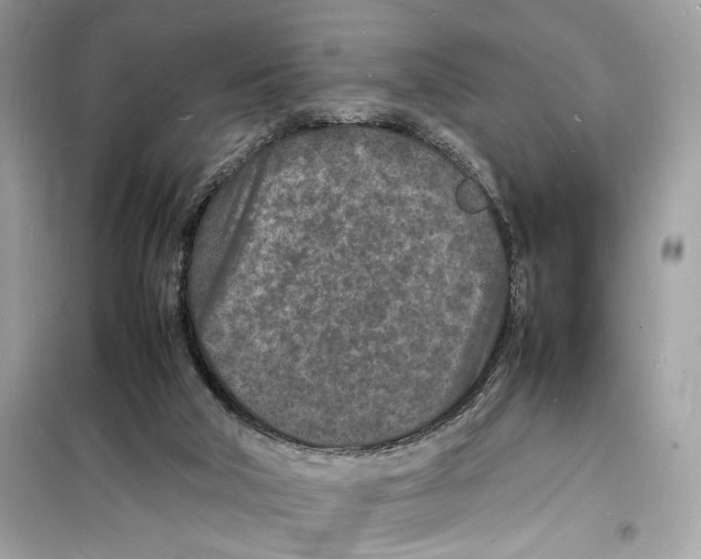 X0000098180018200805221548