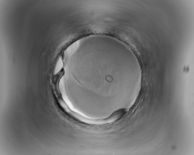 X0000098180019200805221548